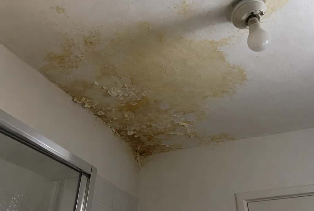 Techo de un baño con una mancha amarillenta de humedad y la pintura desconchada