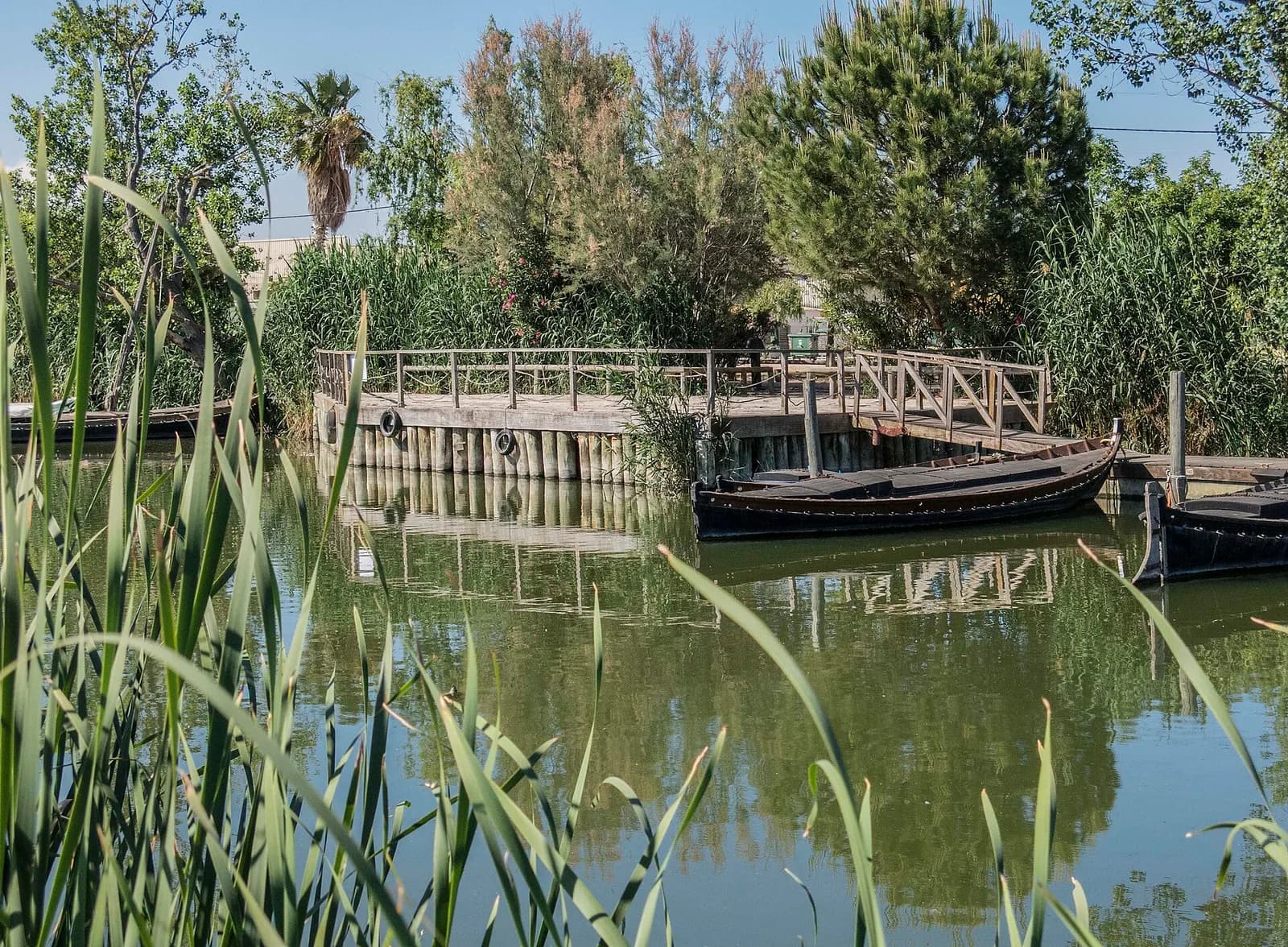 Port de Catarroja, canal con cañas y barcas tradicionales de la Albufera amarradas junto a una pasarela de madera